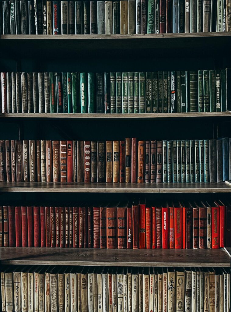 gesorteerde boeken in kast